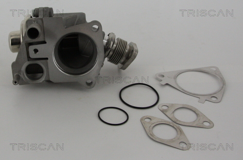 Triscan EGR-klep 8813 28019