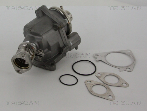 Triscan EGR-klep 8813 28019