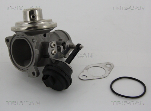 Triscan EGR-klep 8813 29001