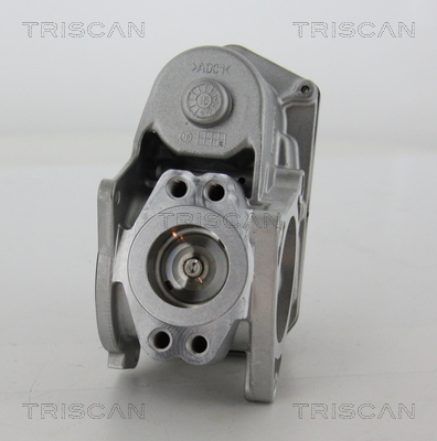 Triscan EGR-klep 8813 29003