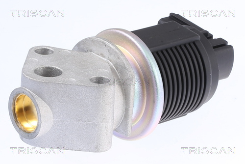 Triscan EGR-klep 8813 29009