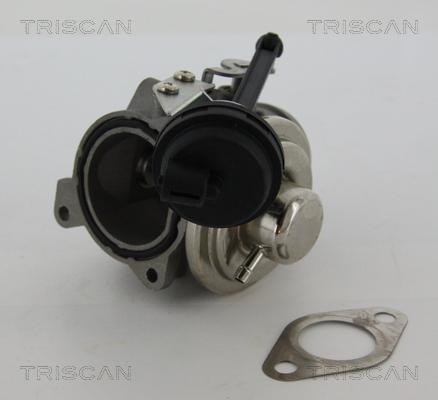 Triscan EGR-klep 8813 29022