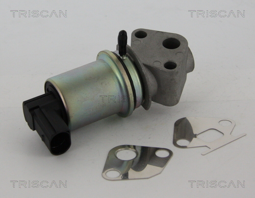 Triscan EGR-klep 8813 29044