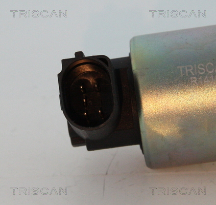 Triscan EGR-klep 8813 29044