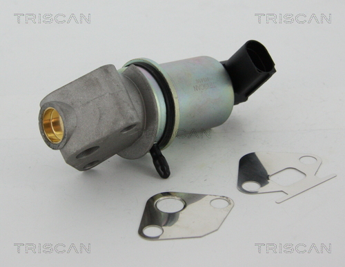 Triscan EGR-klep 8813 29044