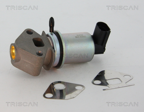 Triscan EGR-klep 8813 29045