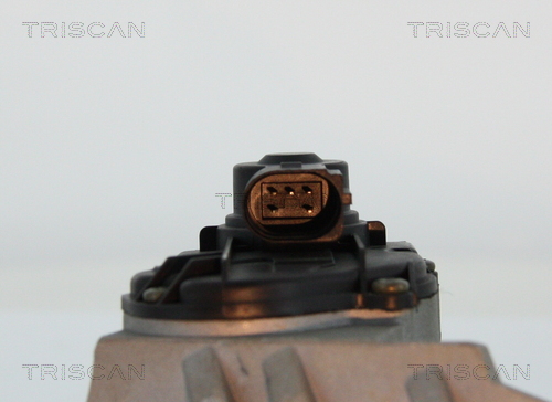 Triscan EGR-klep 8813 29047