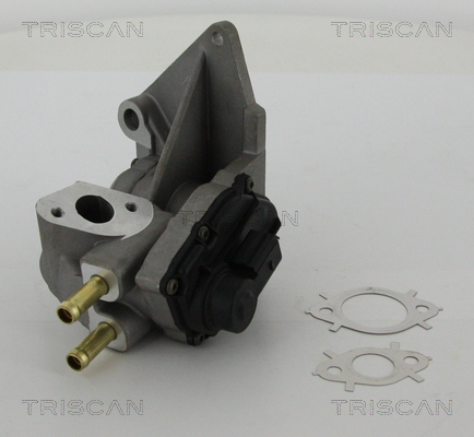 Triscan EGR-klep 8813 29047