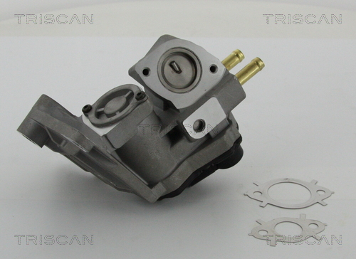 Triscan EGR-klep 8813 29047