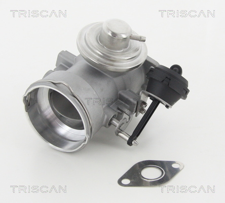 Triscan EGR-klep 8813 29056