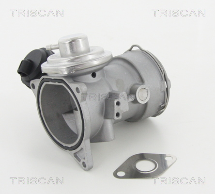 Triscan EGR-klep 8813 29056