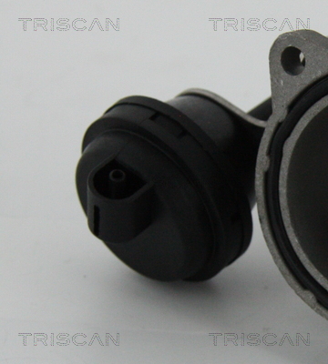 Triscan EGR-klep 8813 29057