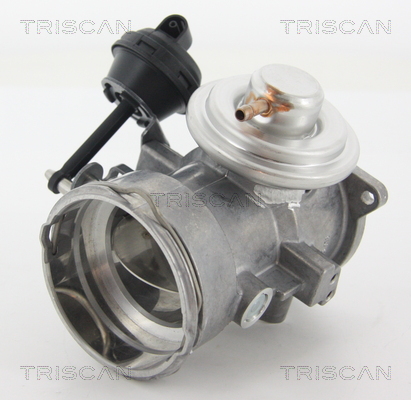 Triscan EGR-klep 8813 29070