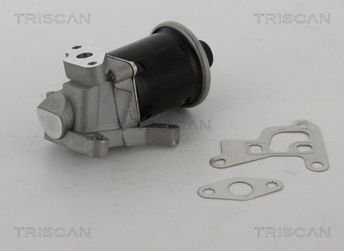 Triscan EGR-klep 8813 29100