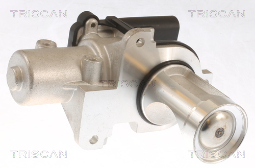 Triscan EGR-klep 8813 29101