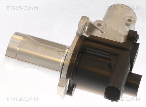 Triscan EGR-klep 8813 29101