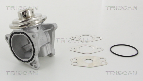 Triscan EGR-klep 8813 29111