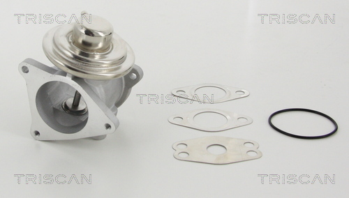 Triscan EGR-klep 8813 29111