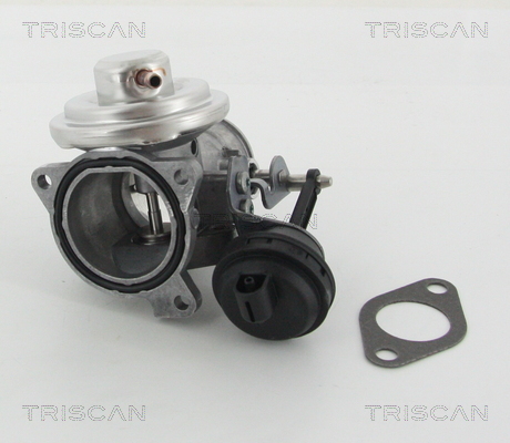 Triscan EGR-klep 8813 29201