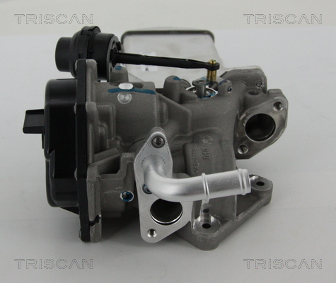 Triscan EGR-klep 8813 29303