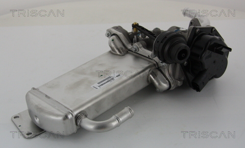 Triscan EGR-klep 8813 29303