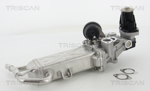 Triscan EGR-klep 8813 29325