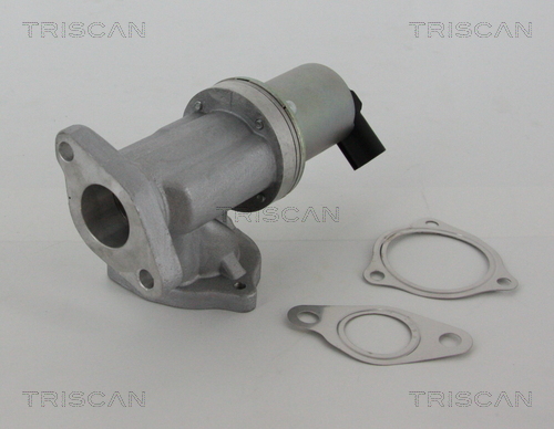 Triscan EGR-klep 8813 43002