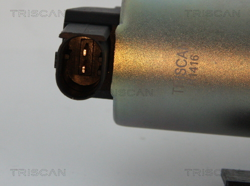 Triscan EGR-klep 8813 43002