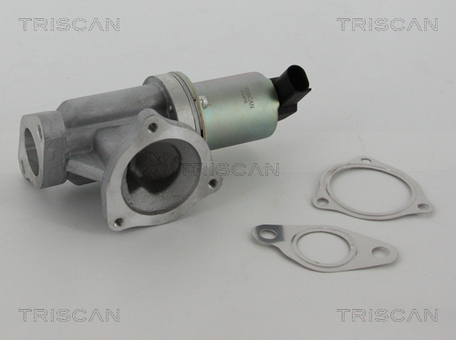 Triscan EGR-klep 8813 43002