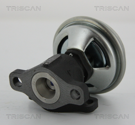 Triscan EGR-klep 8813 43003