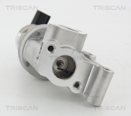 Triscan EGR-klep 8813 43021