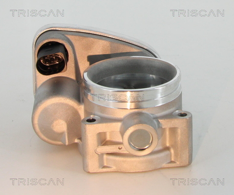 Triscan Gasklephuis 8820 11001