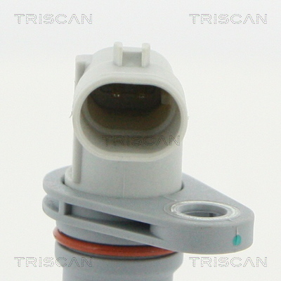 Triscan Krukas positiesensor 8855 10115