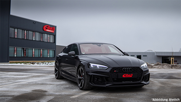 Eibach Veren/dempers (onderstel) E10-15-026-02-22