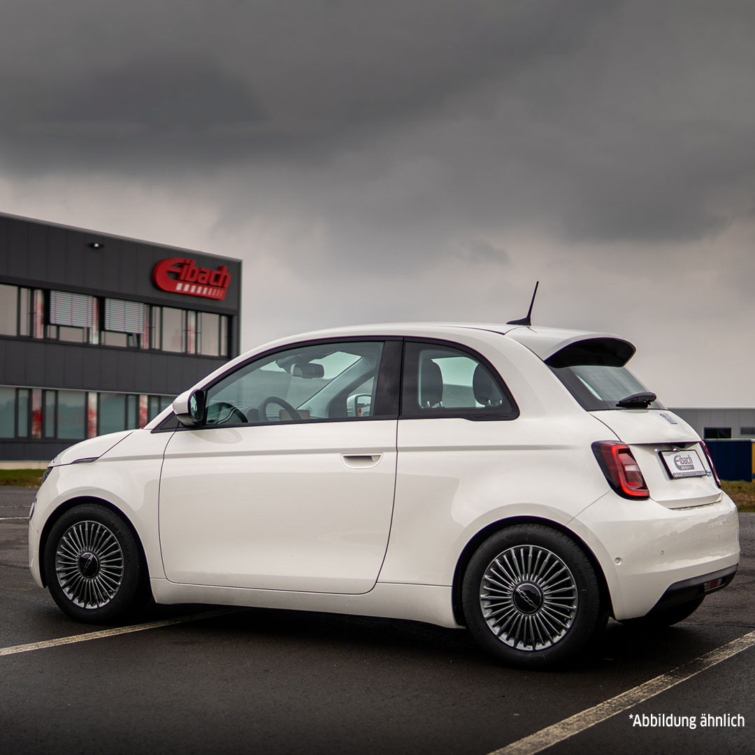 Eibach Veren/dempers (onderstel) E10-30-022-01-22