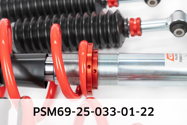 Eibach Veren/dempers (onderstel) PSM69-25-033-01-22