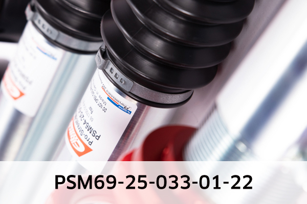 Eibach Veren/dempers (onderstel) PSM69-25-033-01-22