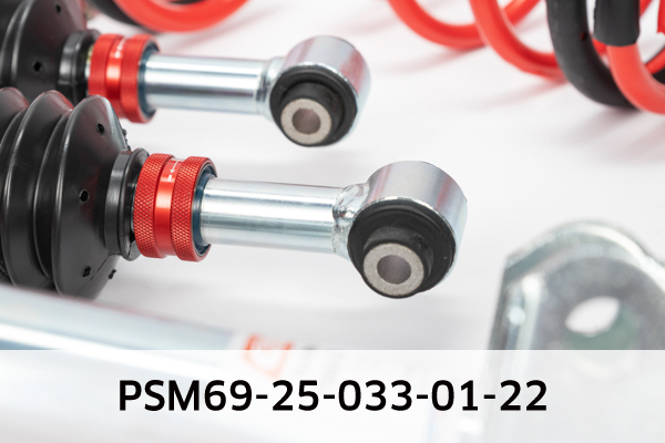 Eibach Veren/dempers (onderstel) PSM69-25-033-01-22