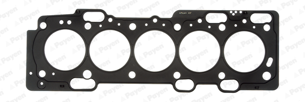 Payen Cilinderkop pakking AE5290