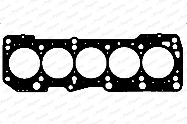 Payen Cilinderkop pakking AF5320