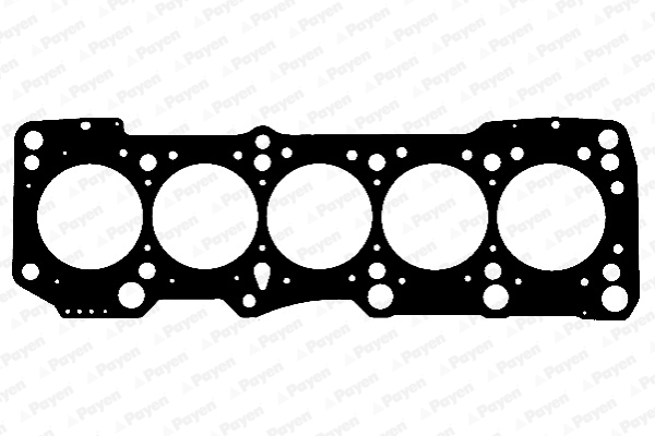 Cilinderkop pakking Payen AF5360