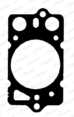 Cilinderkop pakking Payen BK580