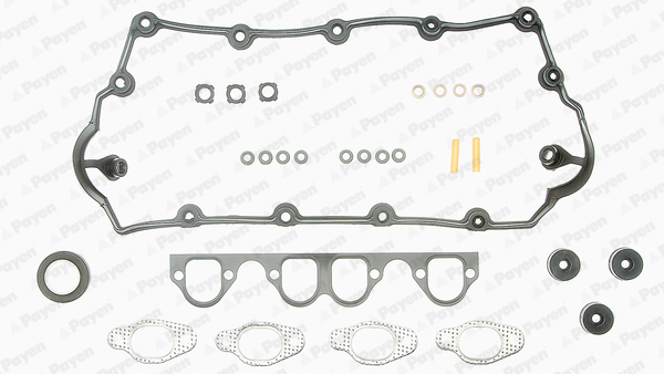 Cilinderkop pakking set/kopset Payen CC5231