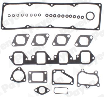 Cilinderkop pakking set/kopset Payen CC5750