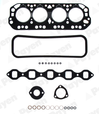 Cilinderkop pakking set/kopset Payen CE780