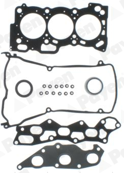 Cilinderkop pakking set/kopset Payen CG5920