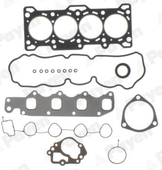 Cilinderkop pakking set/kopset Payen CG7990