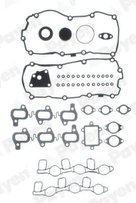 Cilinderkop pakking set/kopset Payen CG8880