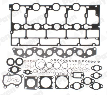 Cilinderkop pakking set/kopset Payen CG9660