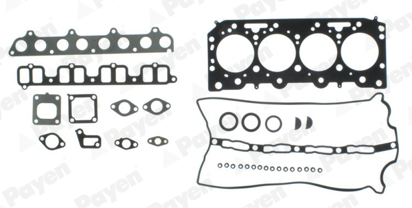 Cilinderkop pakking set/kopset Payen CG9910